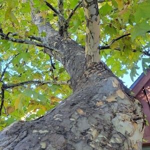 Meet your Posher, Gary